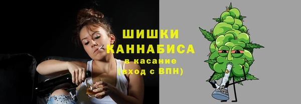 винт Рославль