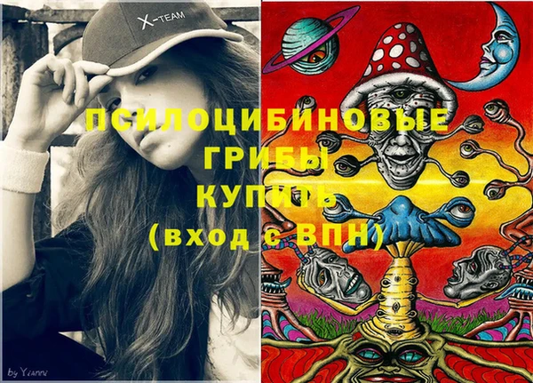 винт Рославль