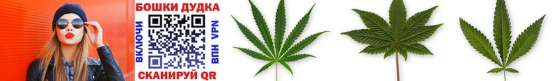 Шишки марихуана THC 21%  Купить где  Нижняя Тура 